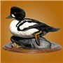 Hybrid&#32;Barrows&#47;Common&#32;Goldeneye&#32;&#124;&#32;Mount&#32;by&#32;Steve&#32;Timler&#32;&#124;&#32;Walnut&#32;Round&#32;Base