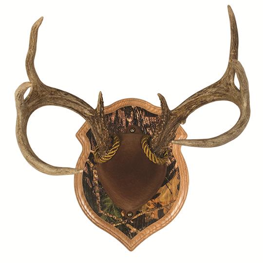 Antler Mount Kit Taxidermy Deer Hunting