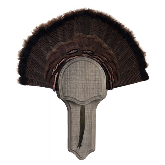 rustic turkey fan mount kit