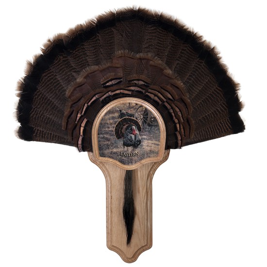 Solid Oak Walnut Hollow Country Grand Slam Series Deluxe Turkey Display Kit w//Eastern Turkey Image