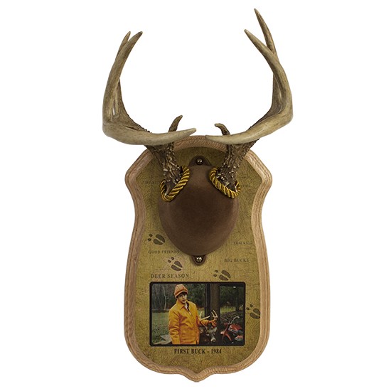 Walnut Hollow Country Deluxe Antler Display Mounting Kit in Solid Oak for Mule Deer /& Whitetail Deer