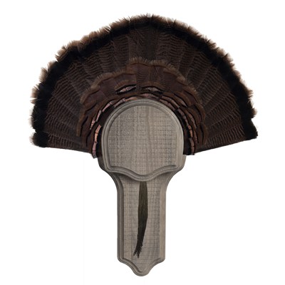 rustic turkey fan mount kit
