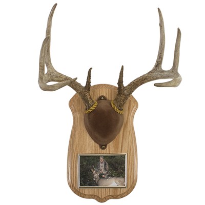 Antler Mount Personalized Kit Taxidermy Deer Hunting