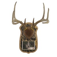 Camo Deluxe Antler Display Kit with Photo Frame