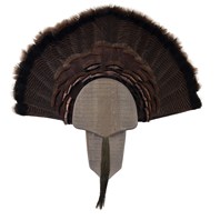 Rustic Turkey Display Kit