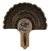 Deluxe Turkey Display Kit, Oak Rio Grande