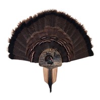 Turkey Display Kit, Oak Eastern