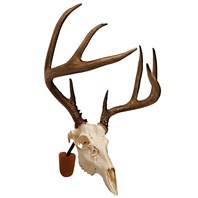 Euro Skull Mounting Kit