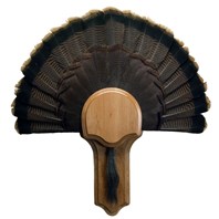 Deluxe Turkey Display Kit, Cherry