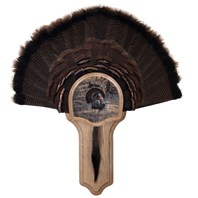 Deluxe Turkey Display Kit, Oak Eastern