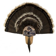 Turkey Display Kit, Oak Merriam&#39;s