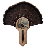 Deluxe Turkey Display Kit, Oak Tom Foolery