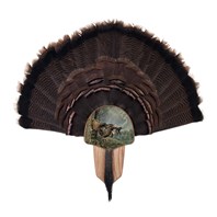 Turkey Display Kit, Oak Double Strike