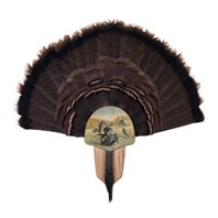 Turkey Display Kit, Oak On Display