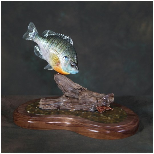 Brian_Watson_Reproduction_Bluegill