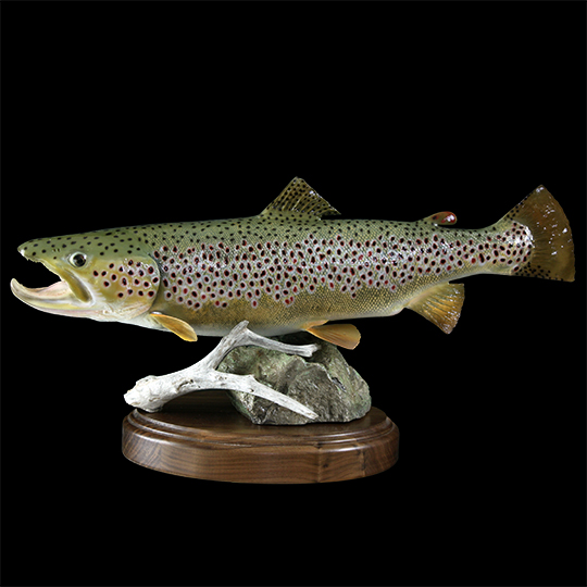 Thick_Walnut_Round_Flat_Base_Taxidermy_39876_web